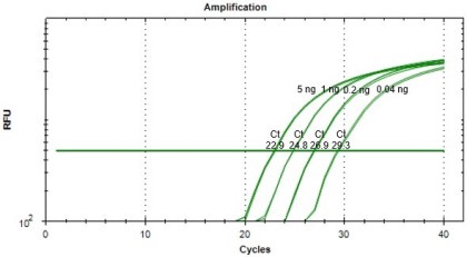 qPCRにおける増幅曲線の比較（他社製品）