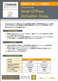 Small GTPase Activation Assayフライヤー