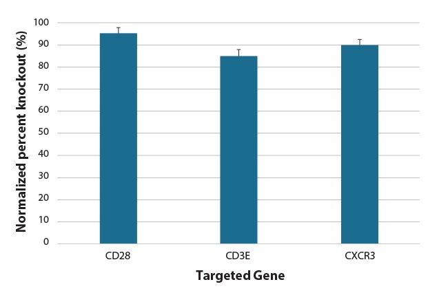 CD4+ T細胞のタンパク質ノックアウトのフローサイトメトリー分析