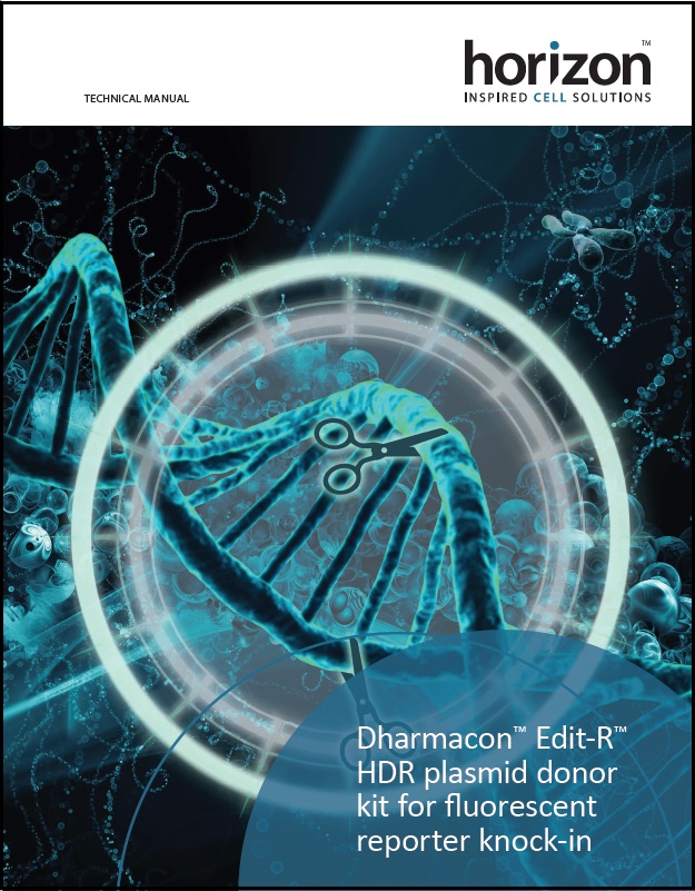 Edit-R HDR plasmid donor kit for fluorescent reporter knock-in Technical Manual