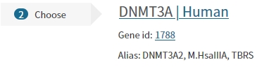 All-in-one CRISPR遺伝子転の購入法2