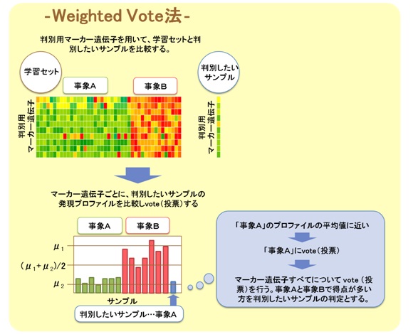 Weighted Vote法イメージ図