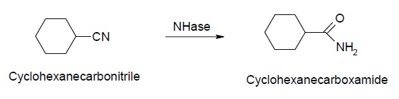 ニトリル分解酵素の反応例