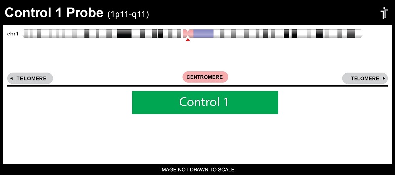 Chromosome 01 Control Probe