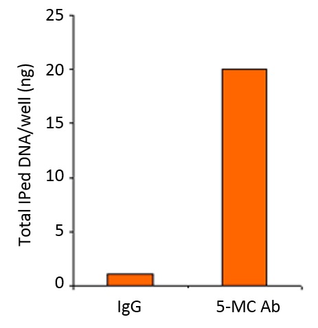 Methylamp Methylated DNA Capture Kitの使用例1