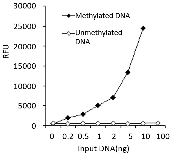 メチル化DNA（5-メチル化シトシン, 5-mC）定量キットの使用例2