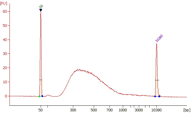 RNAバイサルファイトシークエンシング用ライブラリー作製キットの使用例