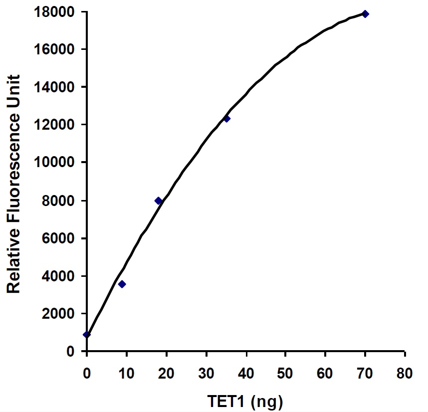 TET1 Protein (Active) の活性測定