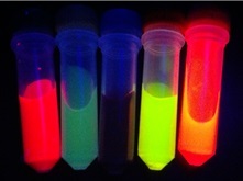 Fluorescent Liposome（蛍光標識リポソーム）