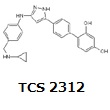 TCS 2312