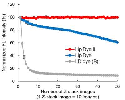 Photostability of LipiDye II in the cell
