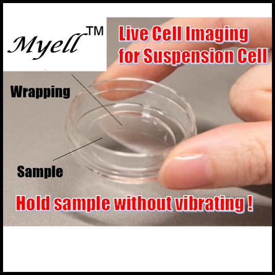 Live-Cell-Imaging