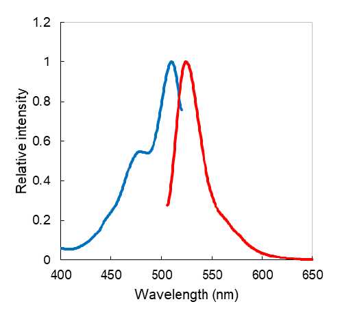 Absorption and fluorescent spectrum of ERseeing