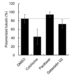 Effect of Gatastatin G2 on MT polymerization in vitro 