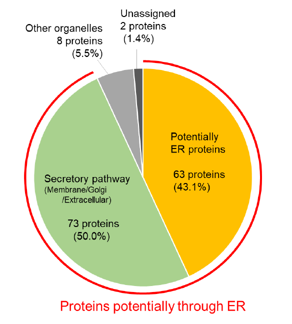 ER-Protein Capture Kit Pie Graph