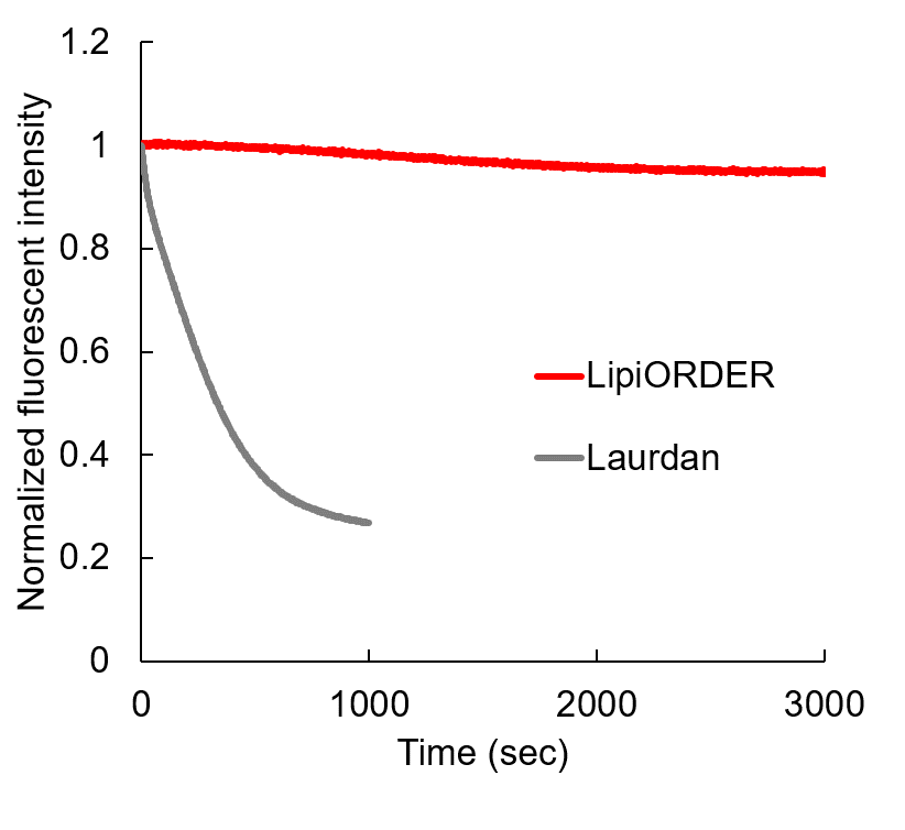Photostability of LipiORDER