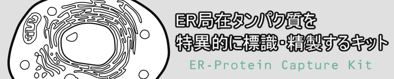 ER-Protein Capture Kitバナー