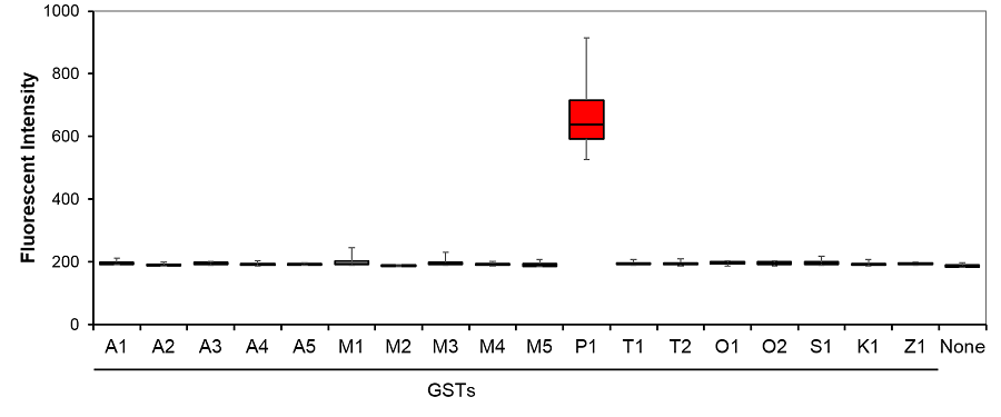 CellFluor GSTP1のGSTファミリー特異性検証