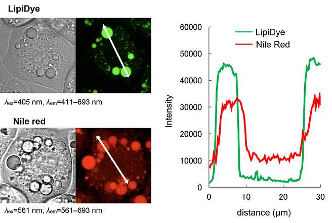 Fig. 1 Comparison data between LipiDye and Nile Red