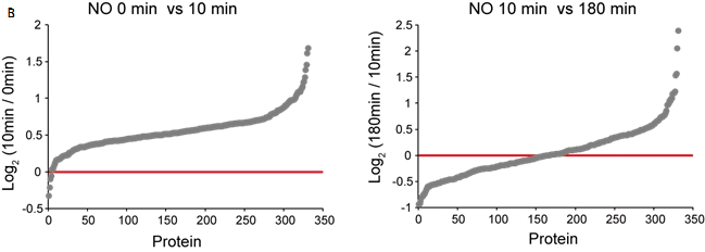Fig. 2 Analysis of labeled proteins in western blot and Mass Spectrometer