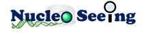 NucleoSeeing logo