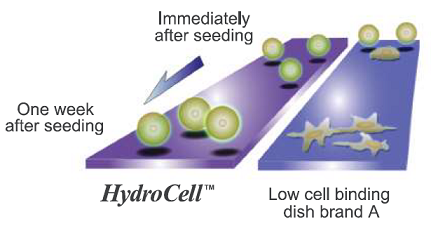 Fig.1 Overview of HydroCell surface