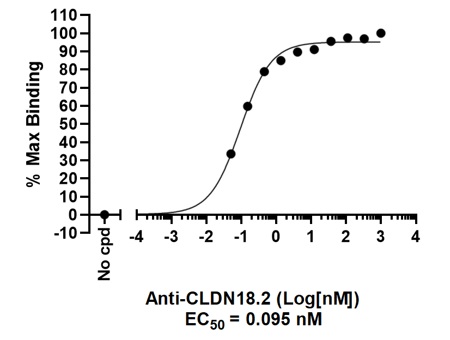 BPS Bioscience社抗Claudin 18.2抗体の使用例