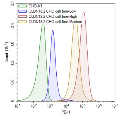 BPS Bioscience社Claudin 18.2タンパク質発現細胞のClaudin 18.2発現量解析
