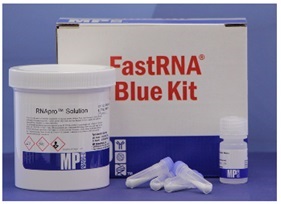FastRNA Pro Blue Kit