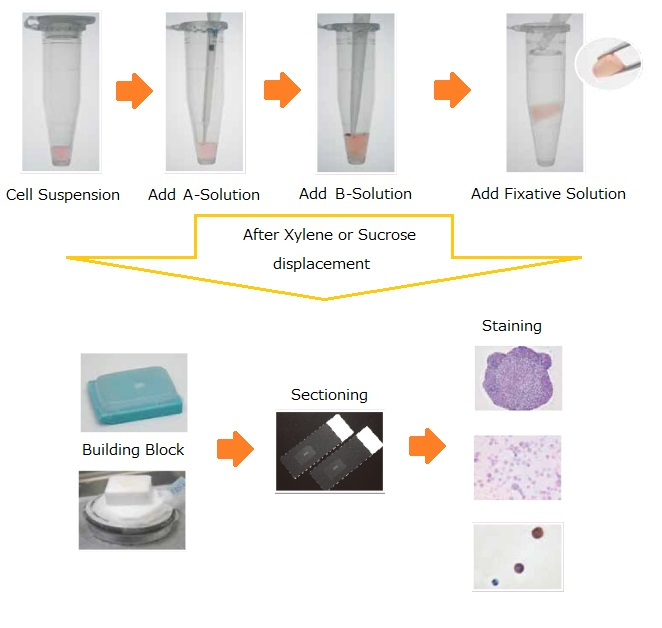 Unique Reagent for Sectioning Floating Cells/3D Cultured Cells iPGel