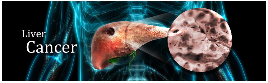 GeneTex社 肝臓がん関連抗体バナー