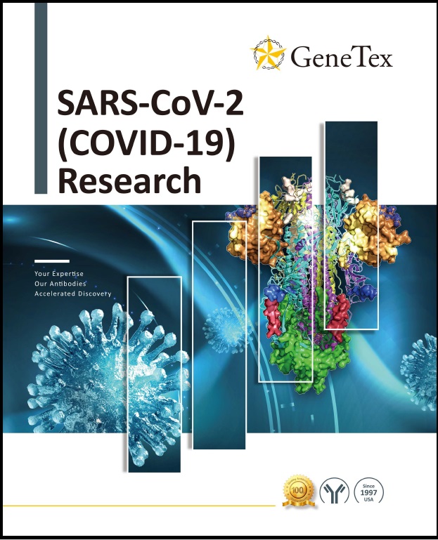 SARS-CoV-2-brochure2020フライヤー