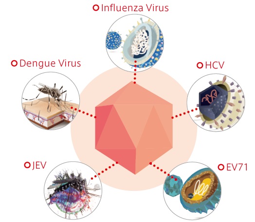 ウイルス抗体