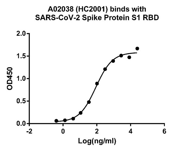 SARS-CoV-2 Spike S1抗体