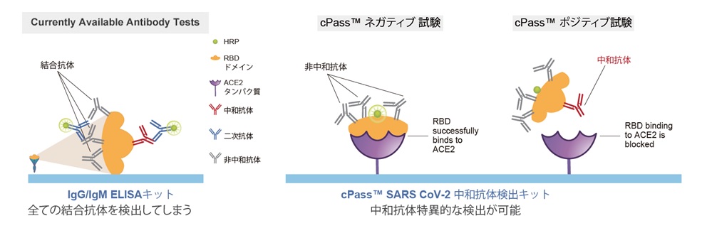 SARS-CoV-2-Surrogate-Virus-Neutralization-Test-Kit概略
