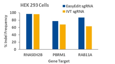 EasyEdit sgRNAを用いたHEK293細胞のゲノム編集効率結果
