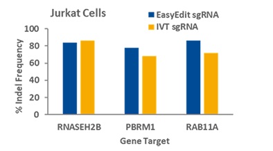 EasyEdit sgRNAを用いたJurkat細胞のゲノム編集効率結果