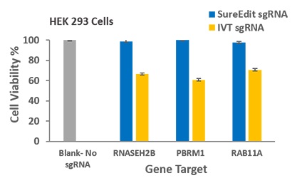 SafeEdit sgRNAを用いた細胞生存率比較結果