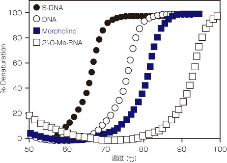 各ヌクレオチドとRNAのハイブリッドの熱安定性