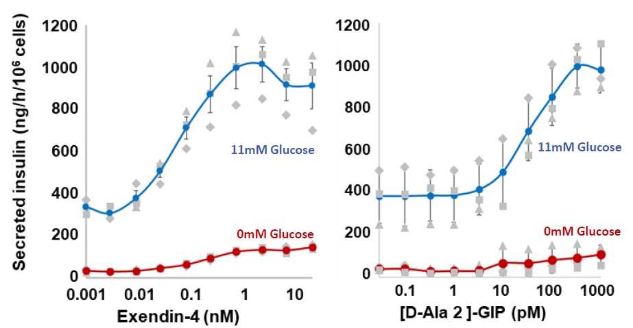 GLP-1レセプターアゴニストExendin-4（左）、およびGIP-1レセプターアゴニスト[D-Ala]-GIP（右）に対するインスリン分泌量