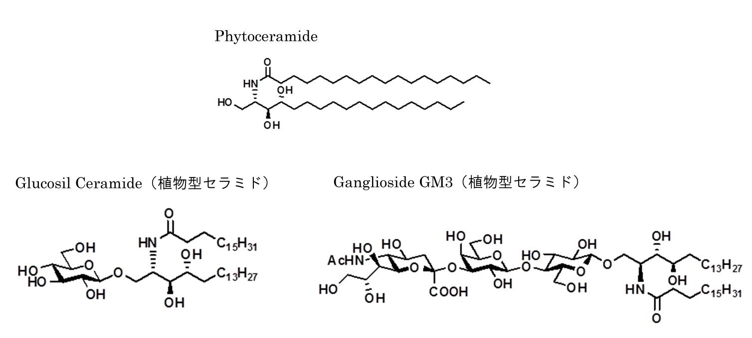 リポソーム作成時の組成および各種生化学試験に有用な機能性脂質 各種セラミド