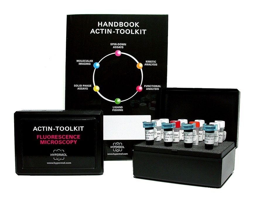 Actin-Toolkit Fluorescence Microscopy