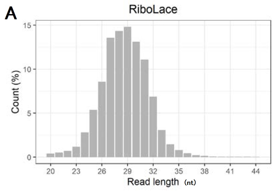 RiboLace-RPF-length-distribution