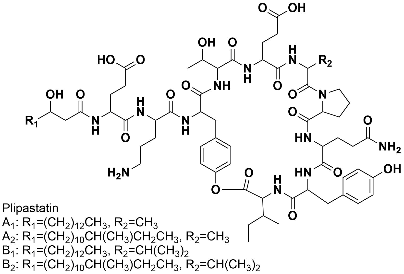 Plipastatin AおよびBの構造式