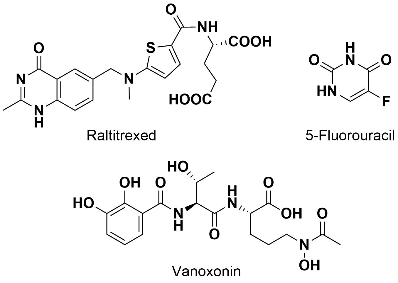 Thymidylate Synthase Inhibitors