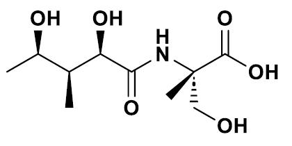 Conagenin-Structure