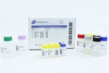 STAINperfect Immunostaining Kit