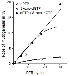 PCRサイクル数に応じた変異導入率