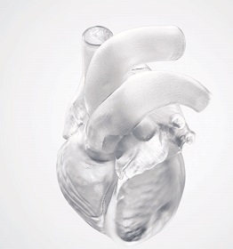 3Dプリンターによる出力サービス 臓器モデル