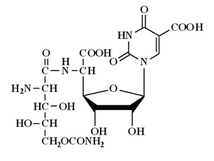 Polyoixin D構造図